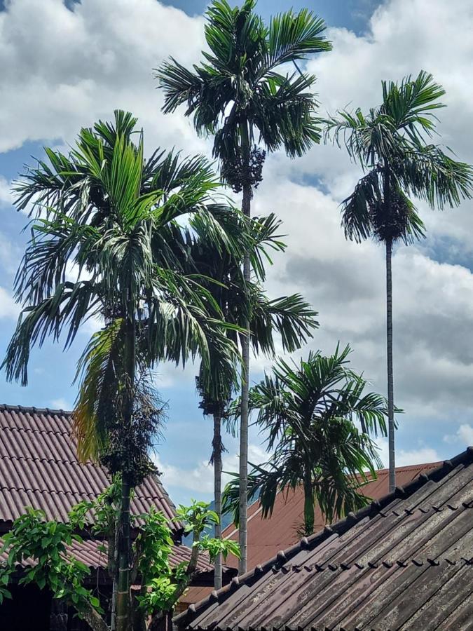 Vang Vieng Queen'S- Mountain View Hotel المظهر الخارجي الصورة
